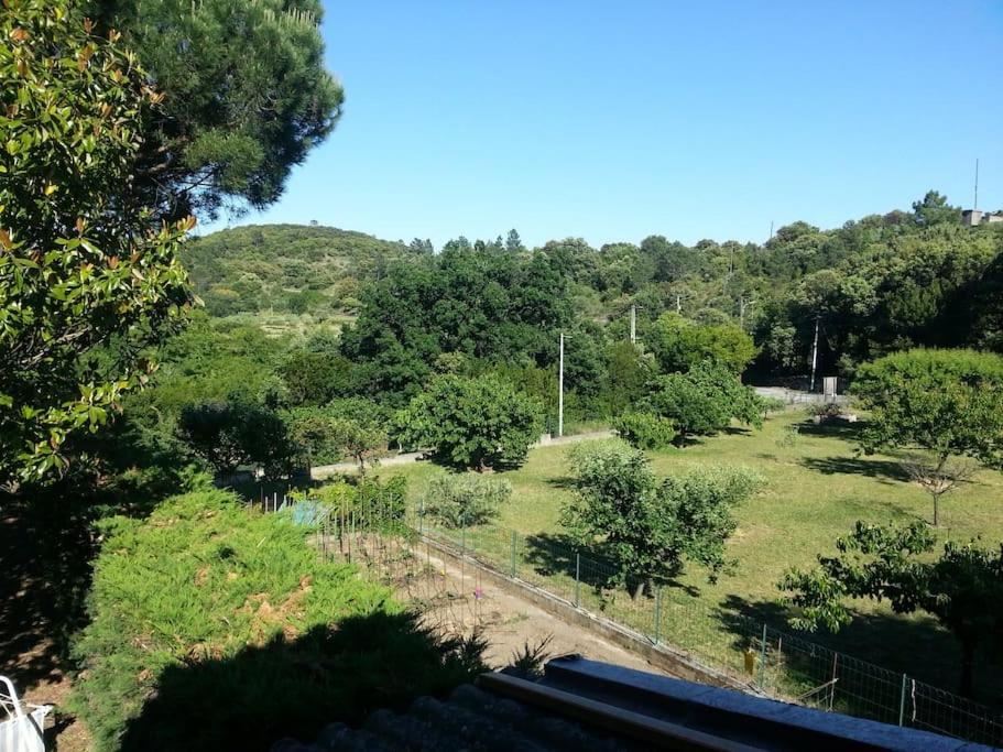 Appartement Au Fond Du Jardin Saint Jean du Pin エクステリア 写真