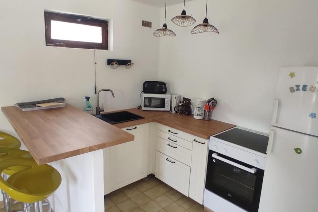 Appartement Au Fond Du Jardin Saint Jean du Pin エクステリア 写真